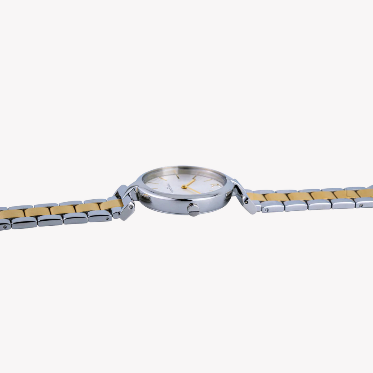 Pierre Cardin Women&